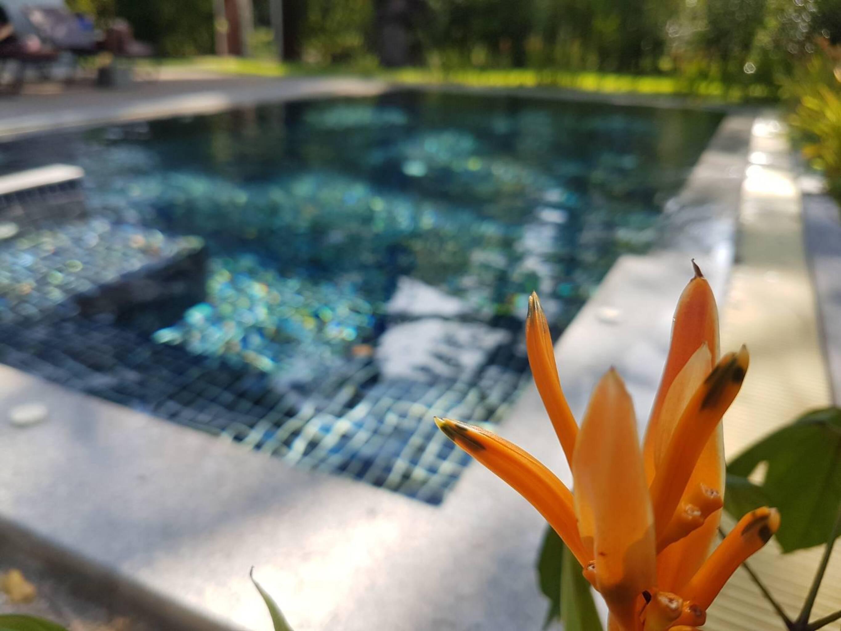 Alisea Pool Villa Aonang Ao Nang Ngoại thất bức ảnh